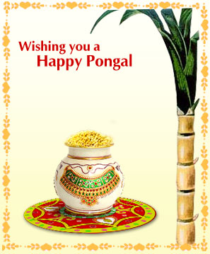 Happy pongal