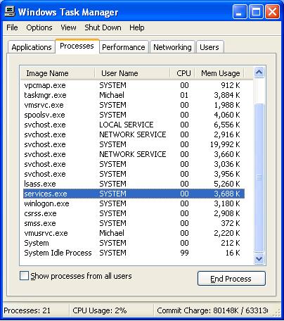 Task Manager showing services.exe