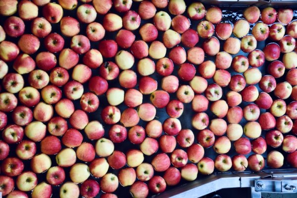 Apple’s New Frontier: Exploring Intel and Samsung for US Processors