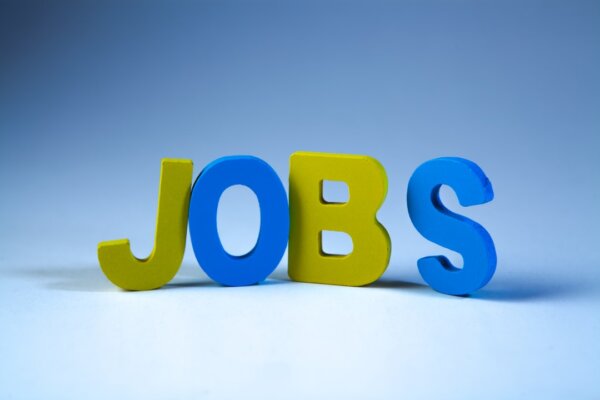 Job Market Meltdown: Tech, Manufacturing, and Services Face a Brutal Purge