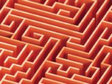 URGENT ALERT: H1B & Green Card Visa Changes You Can’t Afford to Miss – Navigating the 2026 Immigration Maze