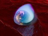 Global Shockwave: Thousands Laid Off Across Tech, Manufacturing, and Services in a Single, Brutal 24 Hours